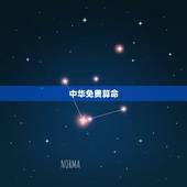 中华免费算命 ，2022 年个人运势查询免费