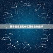 属牛的命里和什么属相合作最好，属牛和什么相克
