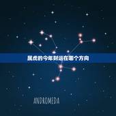 属虎的今年财运在哪个方向，生肖虎做生意门头超什么方向财运好