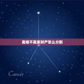 离婚不离家财产怎么分割，我想离婚家里没有什么财产，只有两个小孩该怎么分