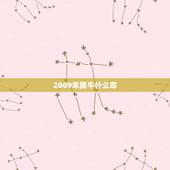 2009年属牛什么命，2009属牛的什么命