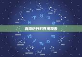 再婚进行时在线观看，深白再婚进行时40集全集大结局
