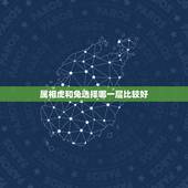 属相虎和兔选择哪一层比较好，虎和兔适合生什么属相