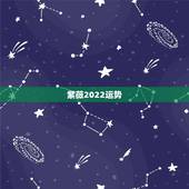 紫薇2022运势，2022年属鸡人的全年运势