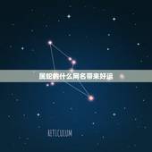 属蛇的什么网名带来好运，六五年属蛇火命该起什么网名好 一个好的网名会起