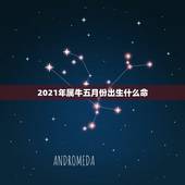 2021年属牛五月份出生什么命，2021年牛年是什么命