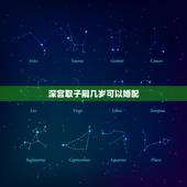 深宫取子嗣几岁可以婚配，《深宫曲》怎么过继别人孩子？