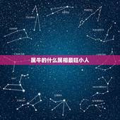 属牛的什么属相最旺小人，属牛的人佩戴什么最好