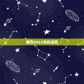 猴在2022年的运势，2022 年属猴的运势和财运1980年
