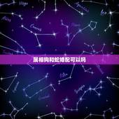 属相狗和蛇婚配可以吗，属蛇的和属狗的婚姻相配吗