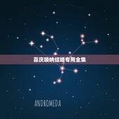 喜庆唢呐结婚专用全集，唢呐独奏曲大全100首迎亲曲