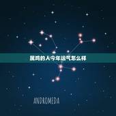 属鸡的人今年运气怎么样，1969年属鸡人每月运程