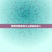 癸酉鸡搬家用什么属相的贵人，属鸡的适合用什么属相的摆件
