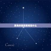 属兔的禁忌属相是什么，今年立春的时候属兔的和什么属相相克吗