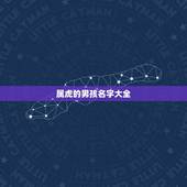 属虎的男孩名字大全，2022属虎的男孩取名大全