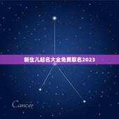 新生儿起名大全免费取名2023 新生的男宝宝取名字