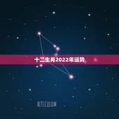 十二生肖2022年运势，十二生肖运程2021年运势每月运程