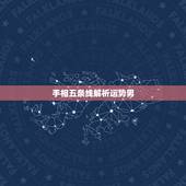 手相五条线解析运势男，手相五条线命怎么样