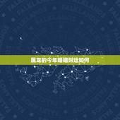 属龙的今年婚姻财运如何，生肖属龙人婚姻性格财运事业运势大全篇