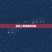 属猪人婚姻最佳搭配，属猪的与什么相配最好