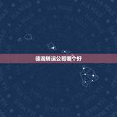 德淘转运公司哪个好，德国转运之家里面介绍好多转运公司，哪家比较好？