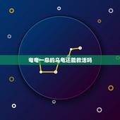 奄奄一息的乌龟还能救活吗，室友养了一只乌龟，放那好久没管，也没加水，我