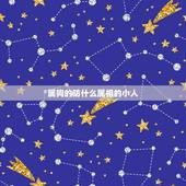 属狗的防什么属相的小人，属狗配什么属相最好