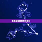 龙虎属相婚配有伤害吗，龙虎属相的男女结婚有何不可