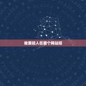 我要招人在哪个网站招，我要招人，上哪个网站啊