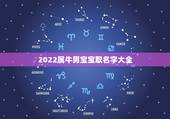 2022属牛男宝宝取名字大全，2022 年牛宝宝取名字