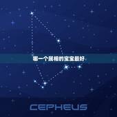哪一个属相的宝宝最好，生什么属相的孩子最好