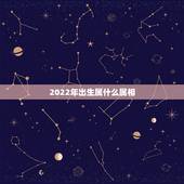2022年出生属什么属相，2022年适合生孩子的属相