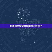 蛇爸跟虎宝宝的属相合不合孩子，请问属猴的妈妈和属蛇的爸爸生个属虎的宝宝