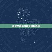 虎皮兰最适合哪个属相养殖，家里养虎皮兰吉利吗？虎皮兰的风水作用能提升财