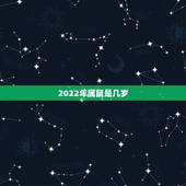 2022年属鼠是几岁，2022 年属虎人的全年运势