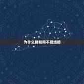 为什么猪和狗不能结婚，为什么叫猪狗大战