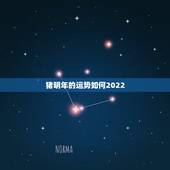 猪明年的运势如何2022，1983年属猪2022年运势