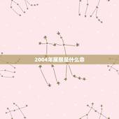 2004年属猴是什么命，2004年木猴命五行缺什么