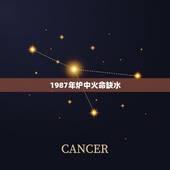 1987年炉中火命缺水，炉中火命人适合在哪个城市发展