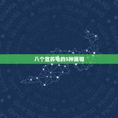 八个宜养龟的5种属相，什么生肖适合养龟