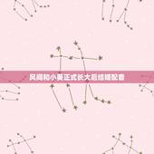 风间和小葵正式长大后结婚配音，蜡笔小新剧场版国语的配音演员