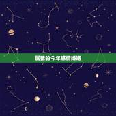 属猪的今年感情婚姻，2022 属猪女人感情