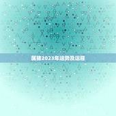属猪2023年运势及运程，属猪人2023年运势运程每月运程