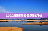 2022年属狗最命苦的月份，2023年属狗人的全年运势