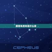 庚寅年虎年是什么命，庚寅时是几点