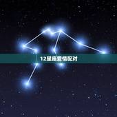 12星座爱情配对，十二星座爱情配对