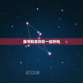 属牛和龙的在一起好吗，属牛和属龙的合得来吗