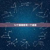 12个属相各写一个成语，十二生肖中虎的成语