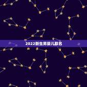 2022新生男婴儿取名 2022年名字男孩