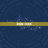 属兔哪一年生的，属虎的是哪年出生的